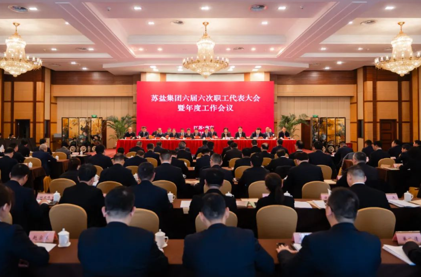 蘇鹽集團召開六屆六次職工代表大會暨2025年度工作會議